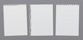 Torn of white lined, math note, notebook paper are on dark grey background for text, advertising or design. Vector Royalty Free Stock Photo