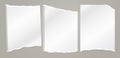 Torn white note, notebook paper pieces for text stuck on grey background. Vector illustration Royalty Free Stock Photo