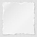 Torn of white note, notebook paper strip, piece stuck on grey squared background. Vector illustration Royalty Free Stock Photo