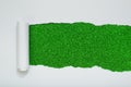 Torn white paper revealing a green glitter background Royalty Free Stock Photo