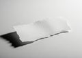 Torn white paper with shadow on light surface transparent background Royalty Free Stock Photo