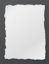 Torn of white vertical note, notebook paper piece stuck on black squared background. Vector illustration Royalty Free Stock Photo