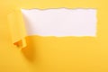 Torn yellow paper strip white background ripped edge Royalty Free Stock Photo