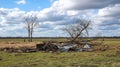 Tornado aftermath with twisted metal and broken trees in open field.. Royalty Free Stock Photo