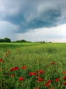 Tornado atmospheric whirlwind in a cumulonimbus thundercloud Royalty Free Stock Photo