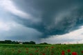 Tornado atmospheric whirlwind in a cumulonimbus thundercloud Royalty Free Stock Photo