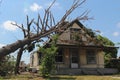 Tornado Damage