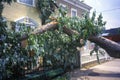Tornado damage, downed tree between two houses, Alexandria, VA Royalty Free Stock Photo