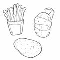 Tornado potato on stick icon. Spiral potato. Potato icon sketch. French fries