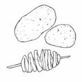 Tornado potato on stick icon. Spiral potato. Potato icon sketch