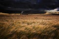 Tornado twister over fields in Summer storm Royalty Free Stock Photo