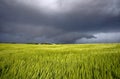 tornado warned storm in Kentucky Royalty Free Stock Photo