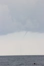 Tornadoes over the Sea Royalty Free Stock Photo