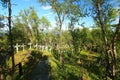 Tornehamns kyrkogard, a navvy cemetery in northern Sweden Royalty Free Stock Photo