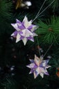 Tornillo Kusudama Origami decorations in Christmas Tree Royalty Free Stock Photo