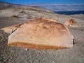 Toro muerto - Peru