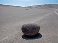 Toro muerto - Peru