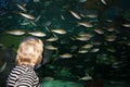 Toronto aquarium lots of fish