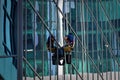 TORONTO, CANADA - 06 16 2016: Industrial climber cleaning the glassy wall of Canadian Broadcasting Centre building in downtown Royalty Free Stock Photo