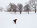 Toronto, Canada - January 17, 2022: Major winter storm in Toronto, Canada.