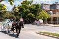 Horse carriage with a driver or guide for touristic purposes. Empty horse cart on a street on a sunny day