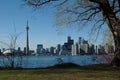 Toronto from Central island Royalty Free Stock Photo