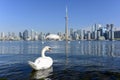 Toronto city skyline, Ontario, Canada Royalty Free Stock Photo