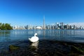 Toronto city skyline, Ontario, Canada Royalty Free Stock Photo