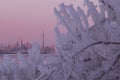 Toronto city skyline during winter Polar Vortex Royalty Free Stock Photo