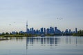 Toronto cityscape with skyscraper, calm lake water. urban skyline background Royalty Free Stock Photo