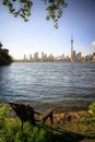 Toronto Cityscape during sunset