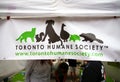 Toronto Humane Society Royalty Free Stock Photo