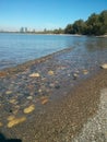 Toronto island beach