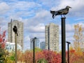 Toronto Lake Iron Crows 2016 Royalty Free Stock Photo