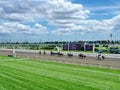 Thoroughbred horses prepare for a  race at Woodbine Racetrack Royalty Free Stock Photo