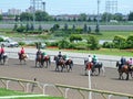 Thoroughbred horses prepare for a race at Woodbine Racetrack