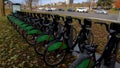 Row of rental bikes on stand near road in autumn in Toronto.