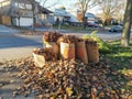 Toronto, Ontario, Canada - November 4, 2020: Old dried withered autumn fall leaves collected in paper recycle bags from Home Depot Royalty Free Stock Photo