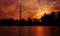 Toronto Silhouette Royalty Free Stock Photo