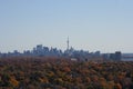 Toronto Skyline in the Fall