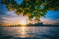 Toronto skyline with maple branches Royalty Free Stock Photo