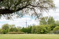 Toronto skyline with modern tall financial buildings in the background. Resting in the park Royalty Free Stock Photo