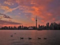 Toronto Skyline at Sunset with Birds in Water Royalty Free Stock Photo