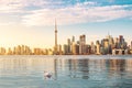 Toronto Skyline and swan swimming on Ontario lake - Toronto, Ontario, Canada Royalty Free Stock Photo