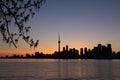 Toronto Sunset Silhouette with part of a tree on the left and co Royalty Free Stock Photo