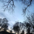 Toronto Trees and Evening Sky - Nature\'s Elegance Royalty Free Stock Photo