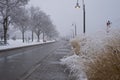 Toronto waterfront Martin Goodman recreational trail during heavy snowstorm Royalty Free Stock Photo