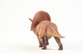 Torosaurus , dinosaur on white background Royalty Free Stock Photo