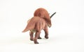 Torosaurus , dinosaur on white background Royalty Free Stock Photo