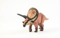 Torosaurus , dinosaur on white background Royalty Free Stock Photo